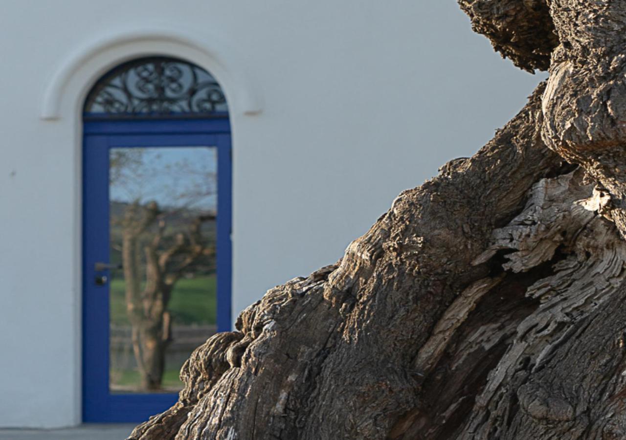 Albergo Rurale Casa Fois Valledoria (Sardinia) Exterior foto